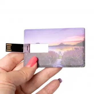 DATIS - Karta pamięci USB 16GB